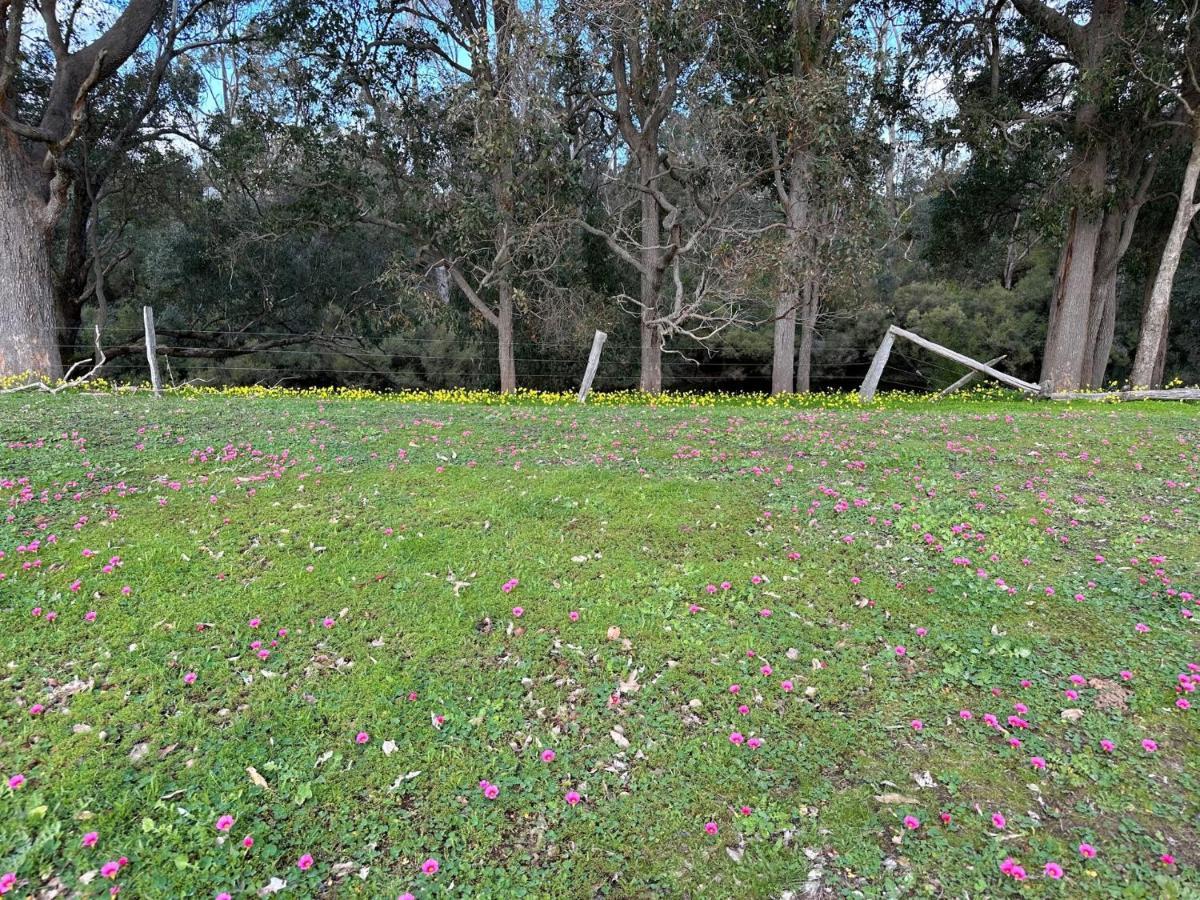 Farm stay Rise Nannup